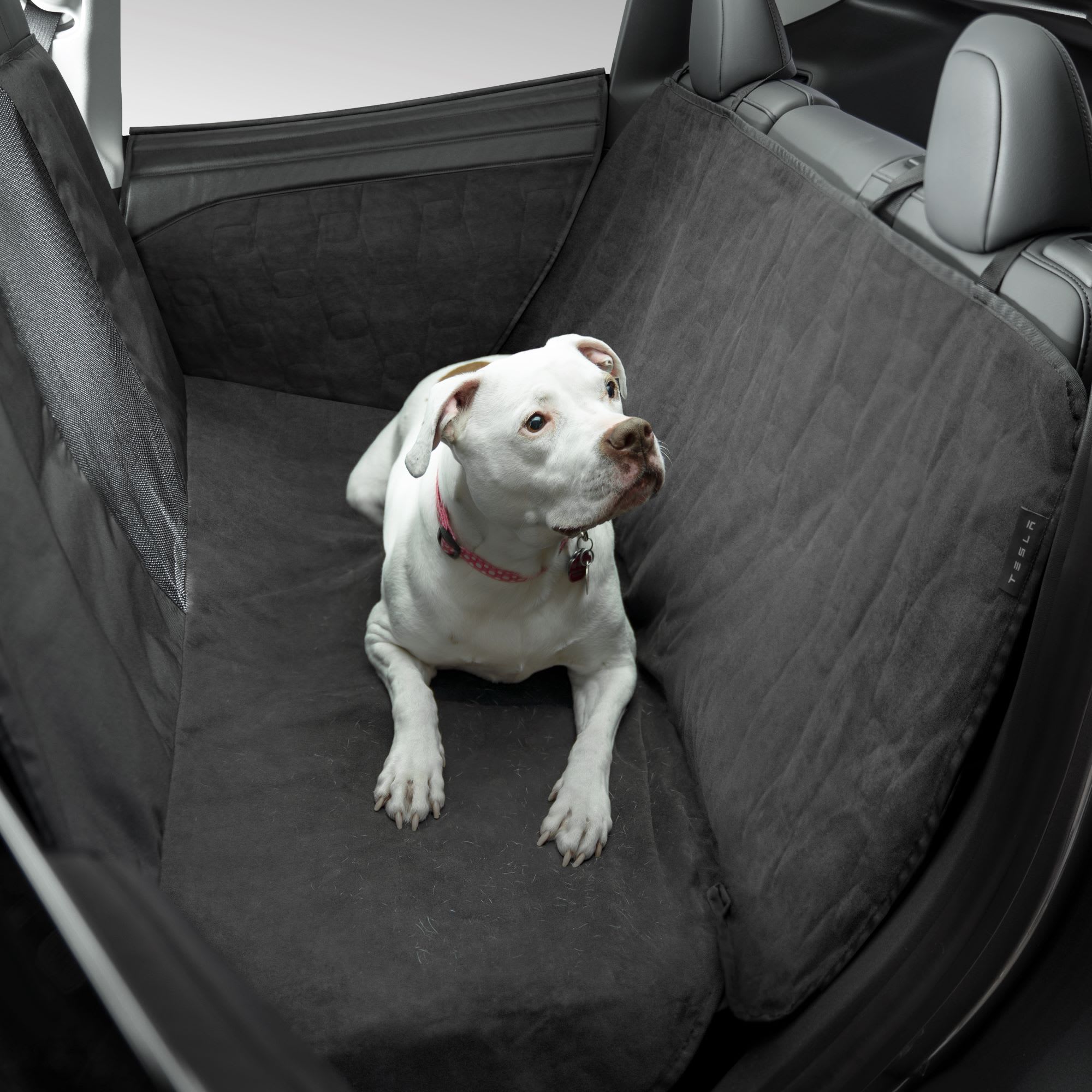 Doublure de banquette et protections de porte Tesla pour voyager avec un chien